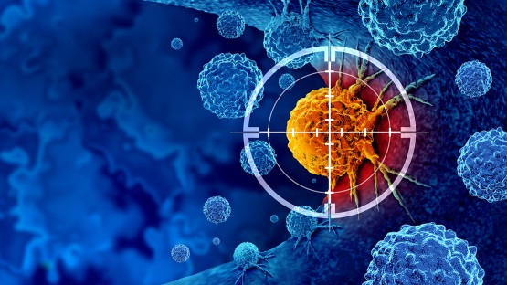 Study Links Common Cancer Mutations to Gene-Access Mechanism