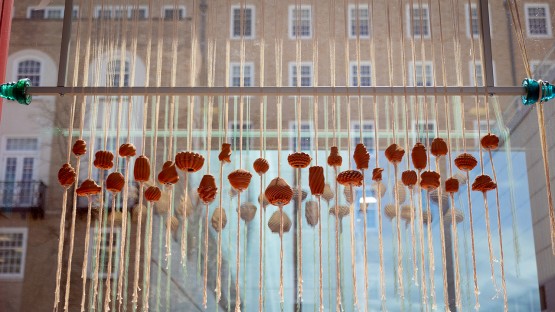 An installation titled “The Weighted Loom” hangs in the Human Ecology Building.