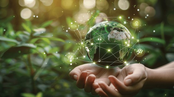 Faculty win Bezos grants to use AI for environmental challenges | Cornell Chronicle