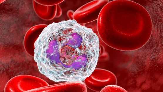 Advancing Health: CCI Announces Multidisciplinary Seed Grants