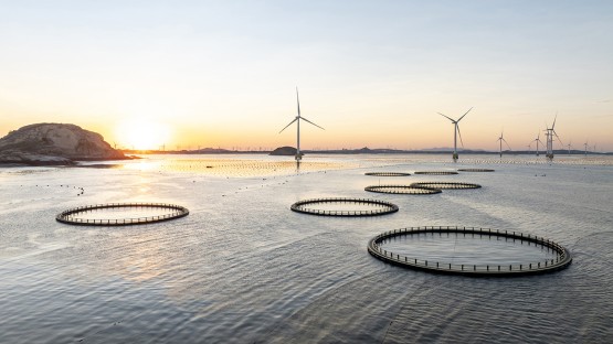 Cornell software advances design of offshore structures | Cornell Chronicle