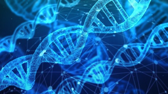 一見正常に見える老化組織で前がん状態が特定される