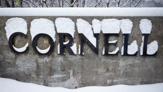 Cornell sign along Hoy Road