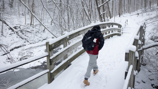 Cascadilla foot bridge below Rhodes Hall