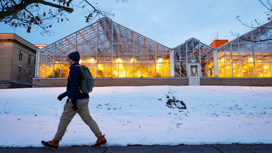 Greenhouses along Tower Road
