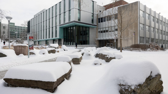 Rock garden on the Engineering Quad.