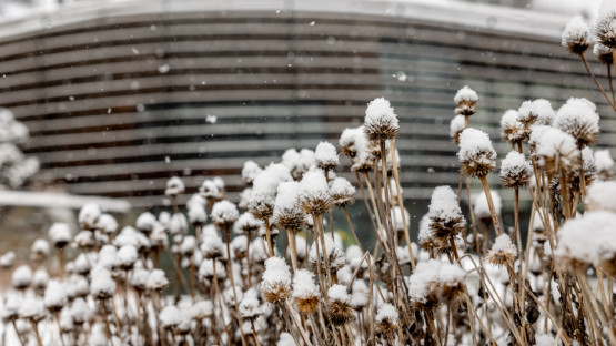 Newman Welcome Center