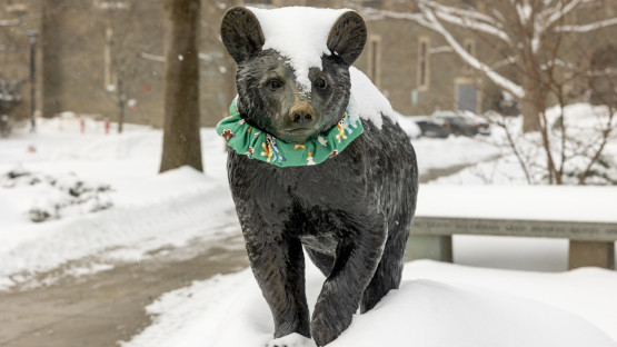 Touchdown statue outside of Teagle Hall.