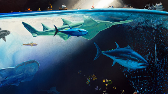 Faculty event: How teaching about climate change can move beyond discourse and despair