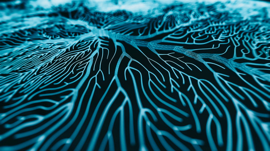 Online module helps students recognize, develop critical thinking