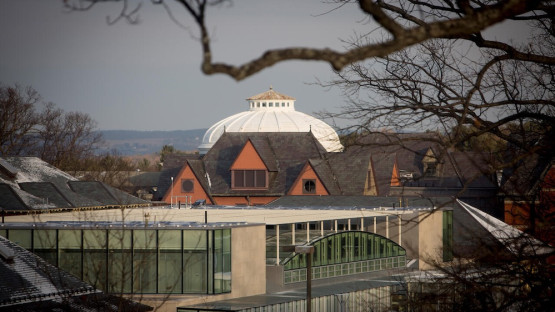 College of Arts and Sciences announces 2026 Klarman Fellows