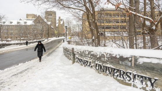 College Avenue bridge