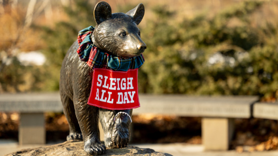 Touchdown statue near Teagle Hall.