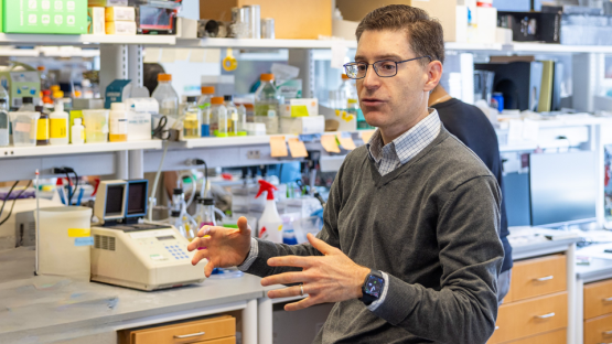 Newly identified protein interaction helps keep cells’ recycling system in balance