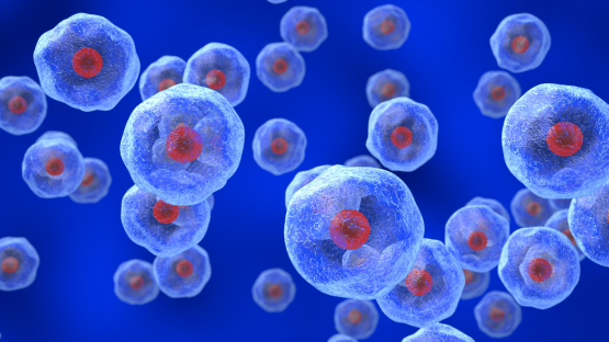 Researchers observe dynamic “gate” that tames powerful signaling molecule