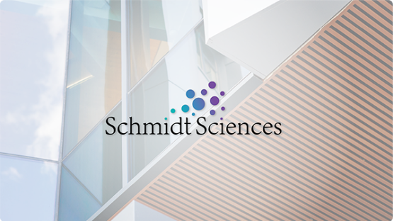 11 new researchers become Eric and Wendy Schmidt AI in Science Postdoctoral Fellows