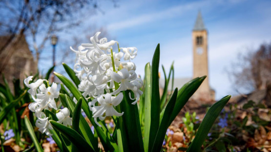 Cornell Center for Social Sciences names 2026-27 Faculty Fellows