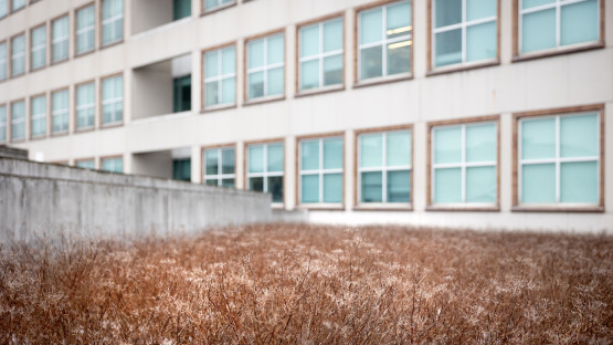 A rooftop garden outside Biotech.
