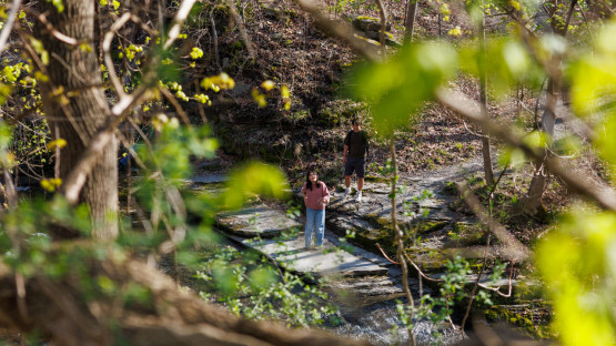 Cascadilla Gorge Trail