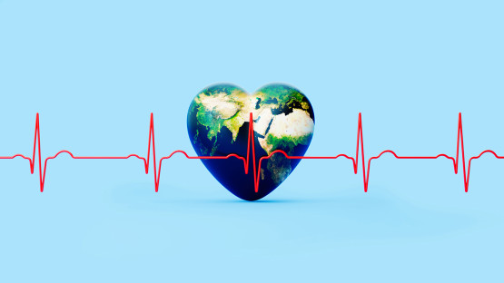 Protecting heart health in an era of temperature extremes | Cornell Chronicle