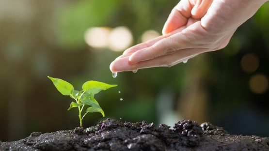 Duffield Engineering SPROUT Awards for emerging research reach new high