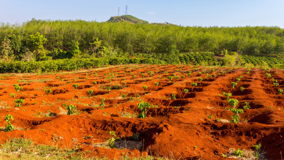 Study challenges CO2-removal potential of enhanced weathering