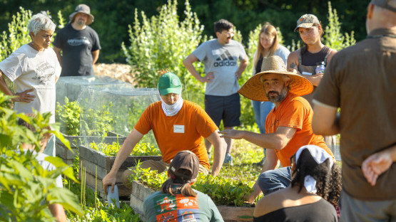 Dilmun Hill Student Farm