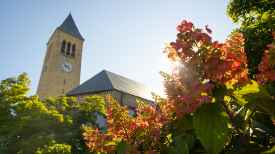 McGraw Tower
