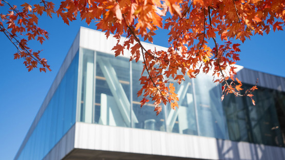 Milstein Hall