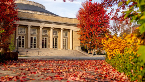 Bailey Hall