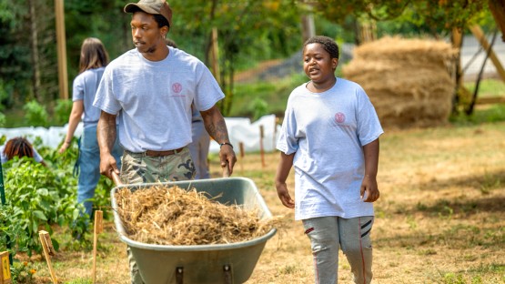 Rochester farm brings opportunity, joy to at-risk young adults - Vimarsana News