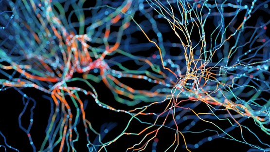 Applied Machine Learning certificate prepares professionals for data