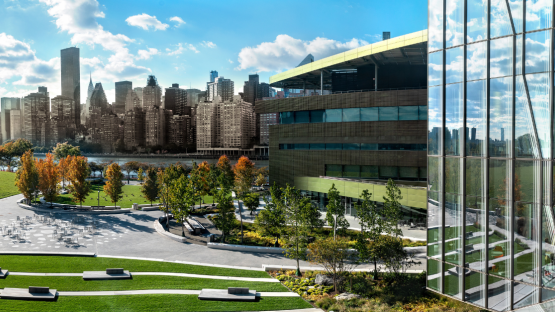 Cornell University launches new general counsel executive education program