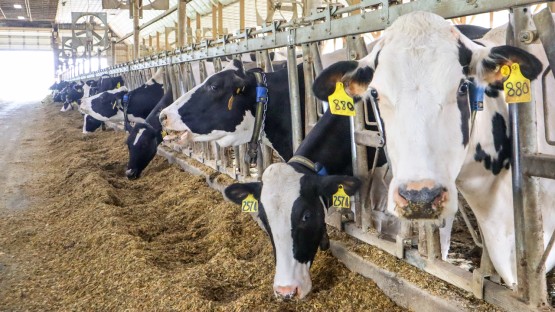 $4.3M grant to develop farm of the future tech - Vimarsana News