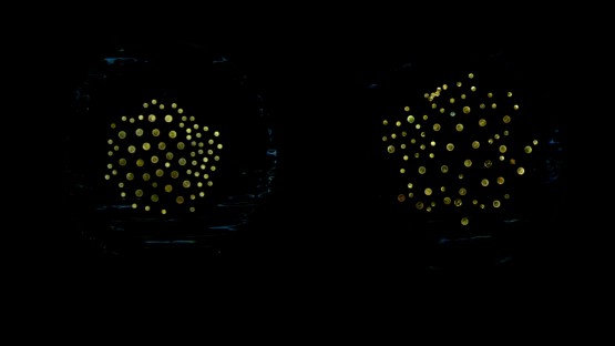 Swarming microrobots self-organize into diverse patterns | Cornell ...