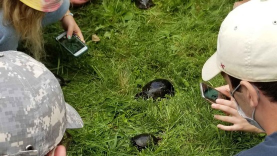Research: Field course interactions relate to student identity ...