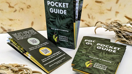 Cornell Botanic Gardens' pocket guide puts top sites in your palm - Vimarsana News