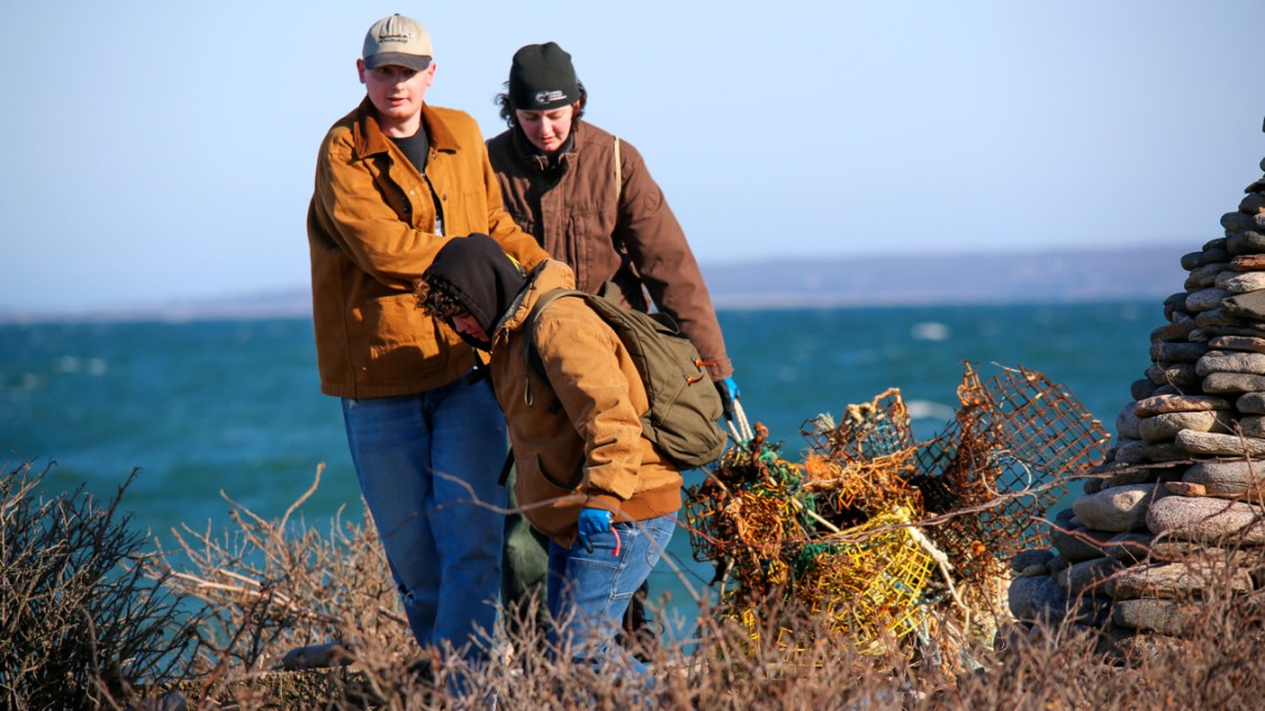 Students drag away lobster traps