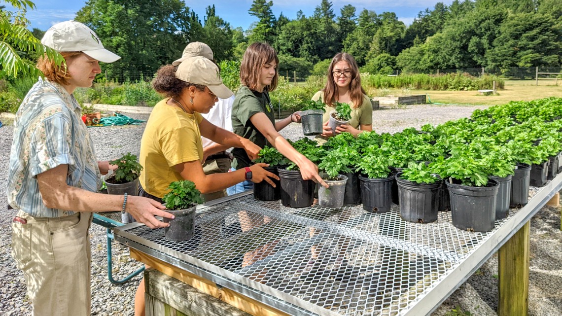 Students 'Learning by Leading' in the Cornell Botanic Gardens