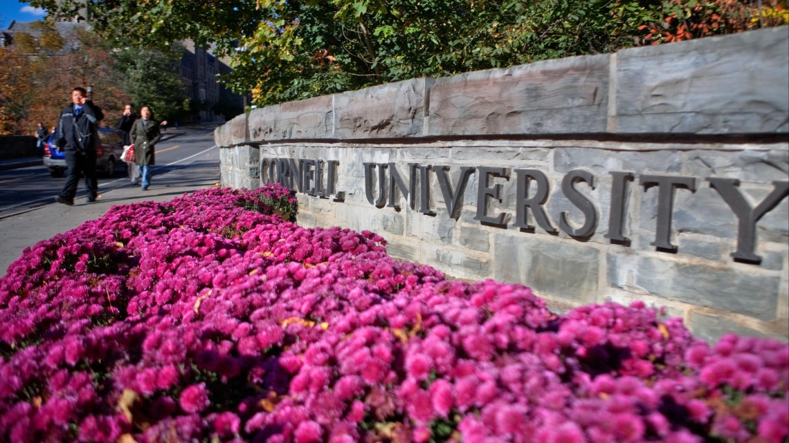 Pink flowers bloom in front of Cornell University sign