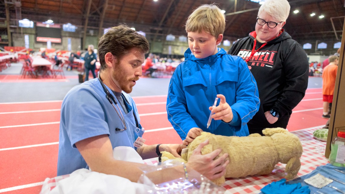 A young community member learns about veterinary care at the annual Employee Celebration at Barton Hall.