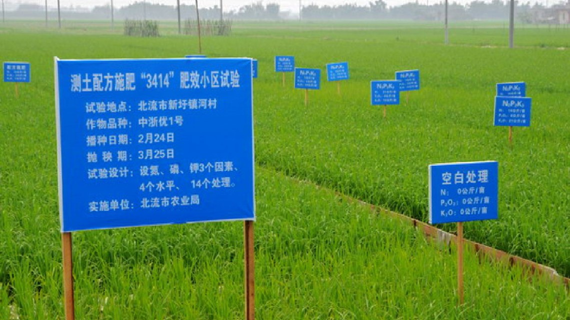 China field site