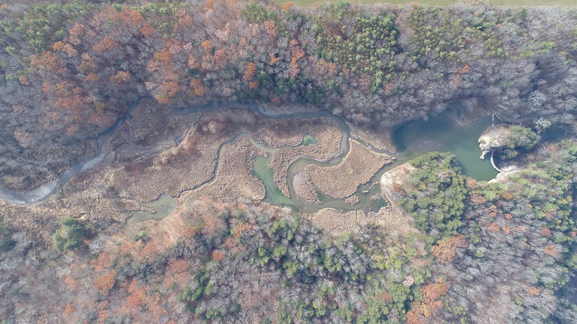 Lake Treman aerial