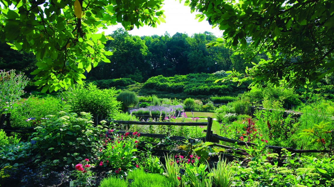 Cornell Botanic Gardens’ plants available online | Cornell Chronicle