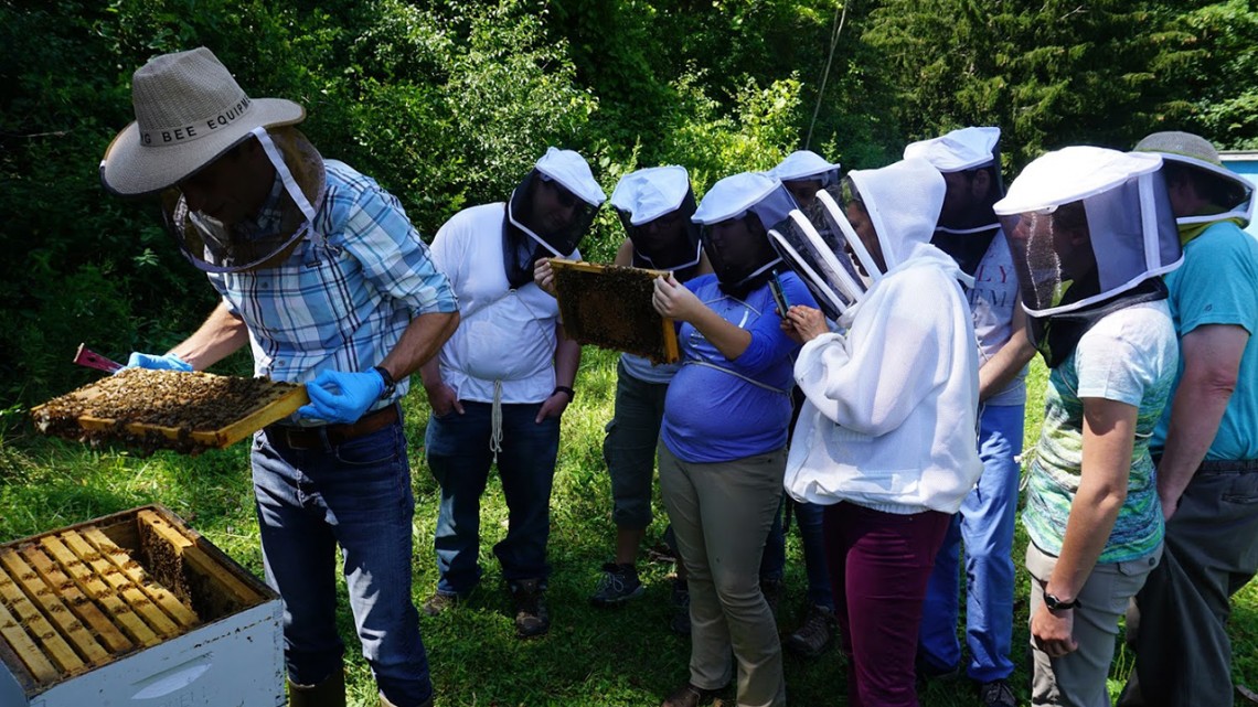 Vet students with bees