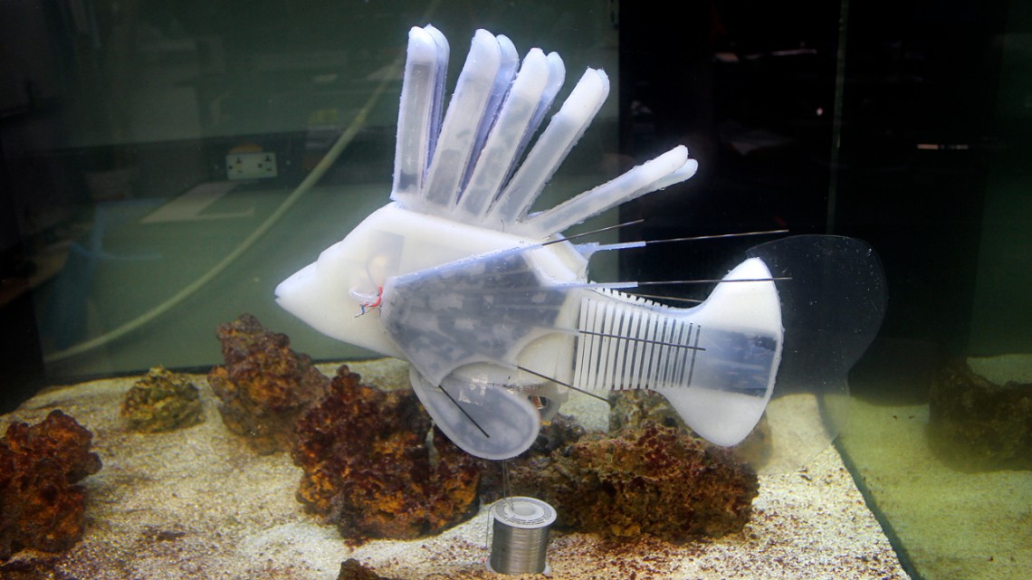 robot fish