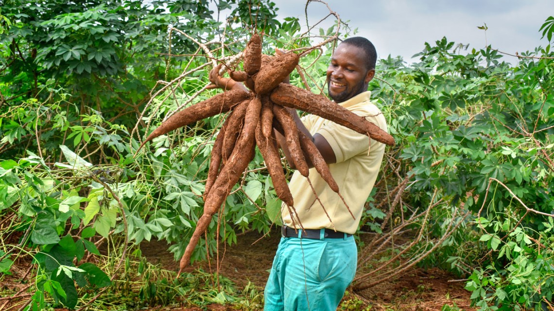 Anetor Omonuwa holds a cassava 