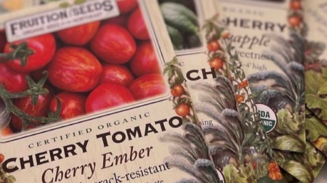 seed packets for Cherry Ember tomatoes