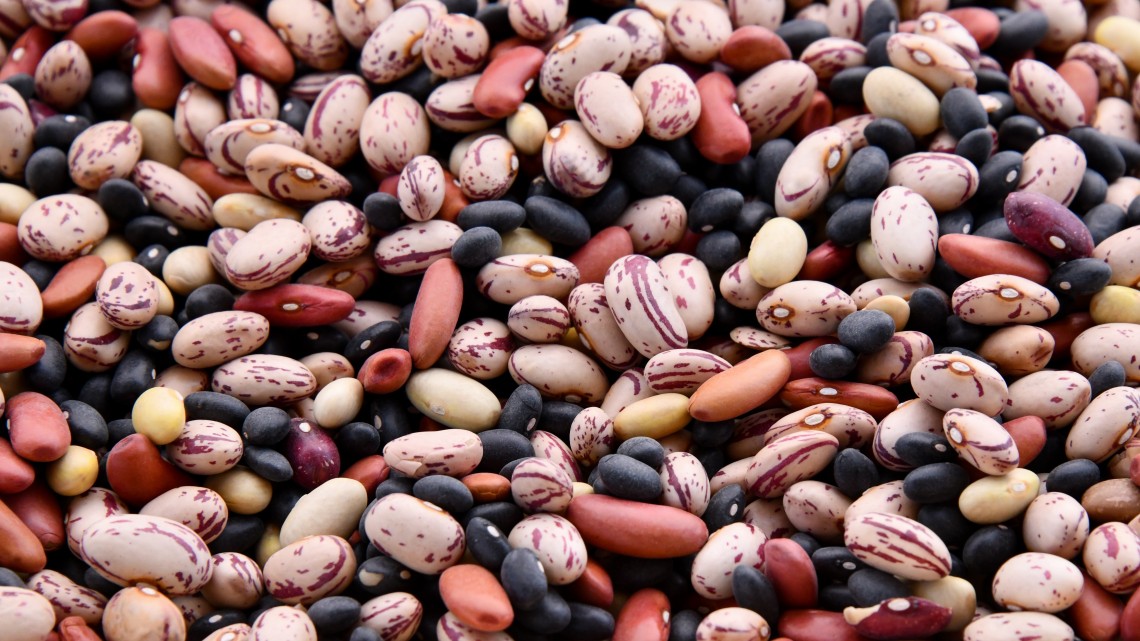 multicolored beans