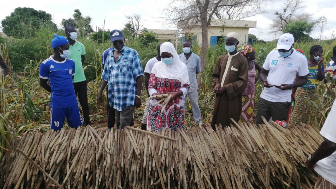 Masked farmers in Senegal